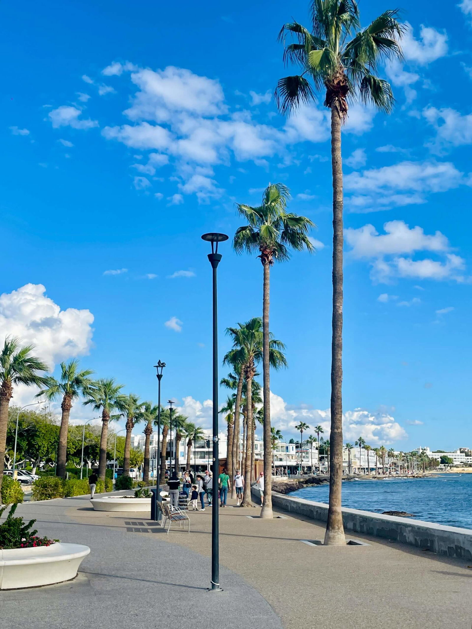 Coastal Boardwalk Paphos