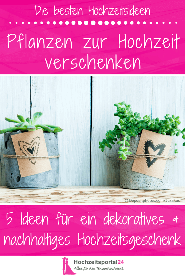 Hochzeitsgeschenk Pflanze