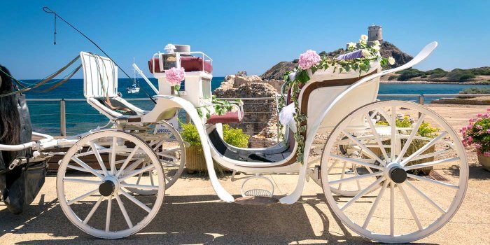 Heiratsantrag mit einer romantischen Pferdekutsche
