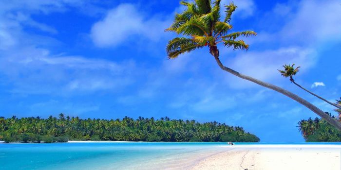 Anspruch auf Sonderurlaub wegen einer Hochzeit