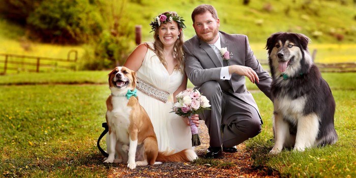 Tierisch gut: Hochzeit mit Hund, Pferd und Co.
