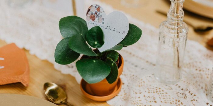 Kreative Gastgeschenke zur Verlobung