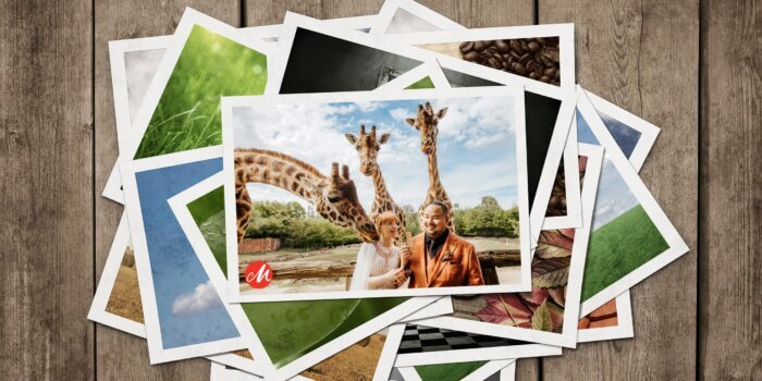 Die besten Hochzeitsfotos – Masters of German Wedding Photography 2025