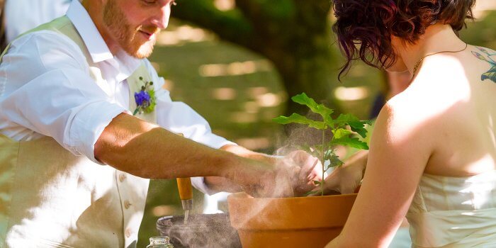 Hochzeitsbaum pflanzen: Ein schöner Brauch für nachhaltige Freude